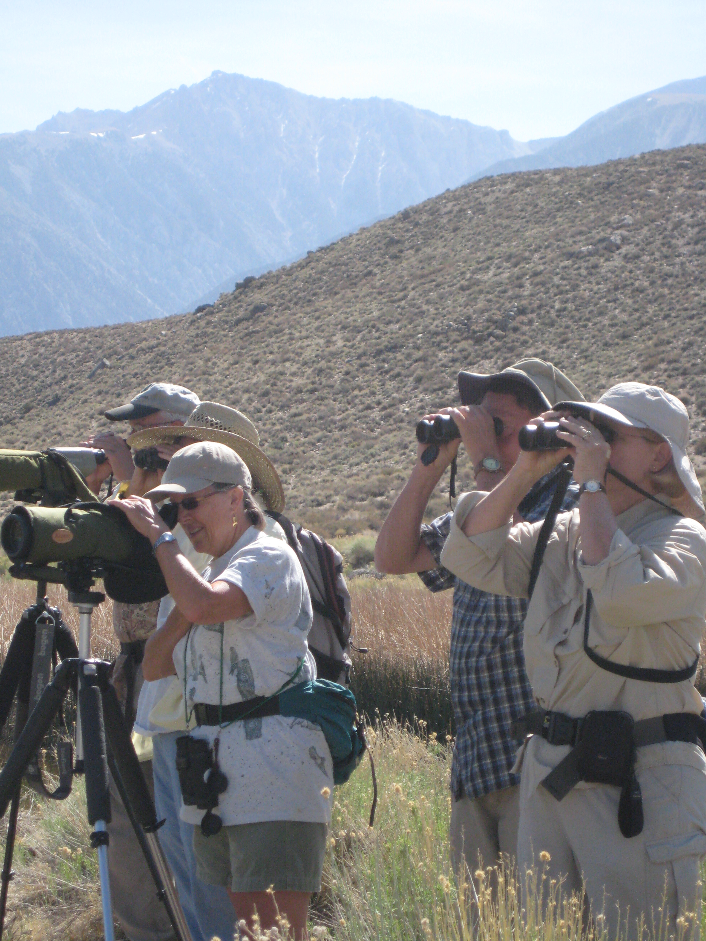 Field Trip participants search for waterfowl. 