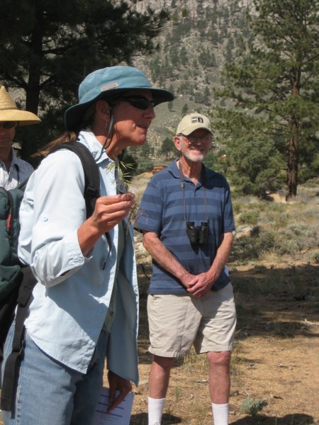 MigrationHike_007 Karen discusses the terrible tectorum (aka Cheatgrass)
