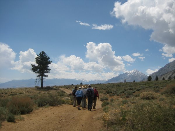 MigrationHike_059 Walking back to the cars post showers