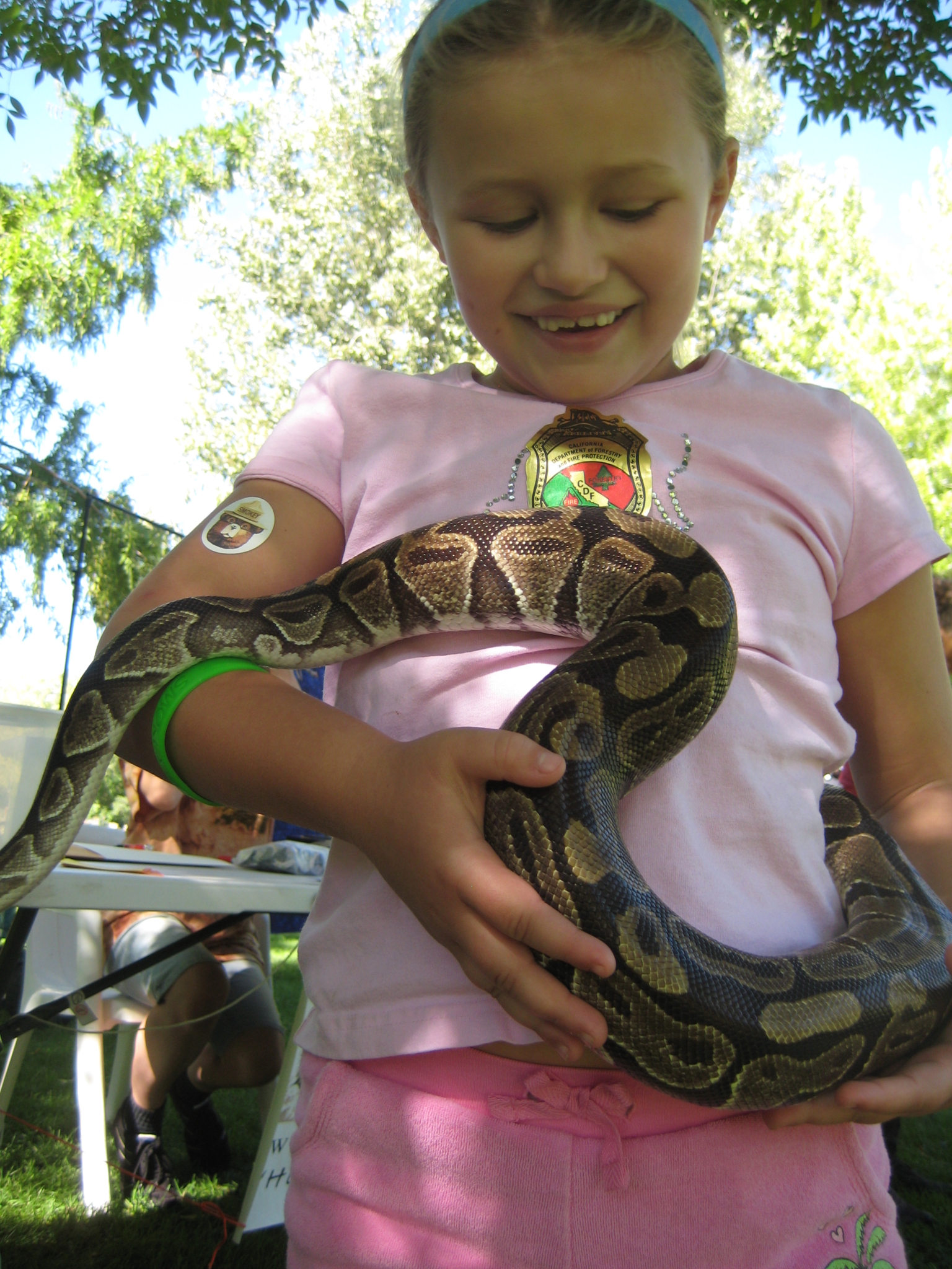 A young veterinarian in training holding a snake that was probably longer than she was tall. A young veterinarian in training holding a snake that was probably longer than she was tall.