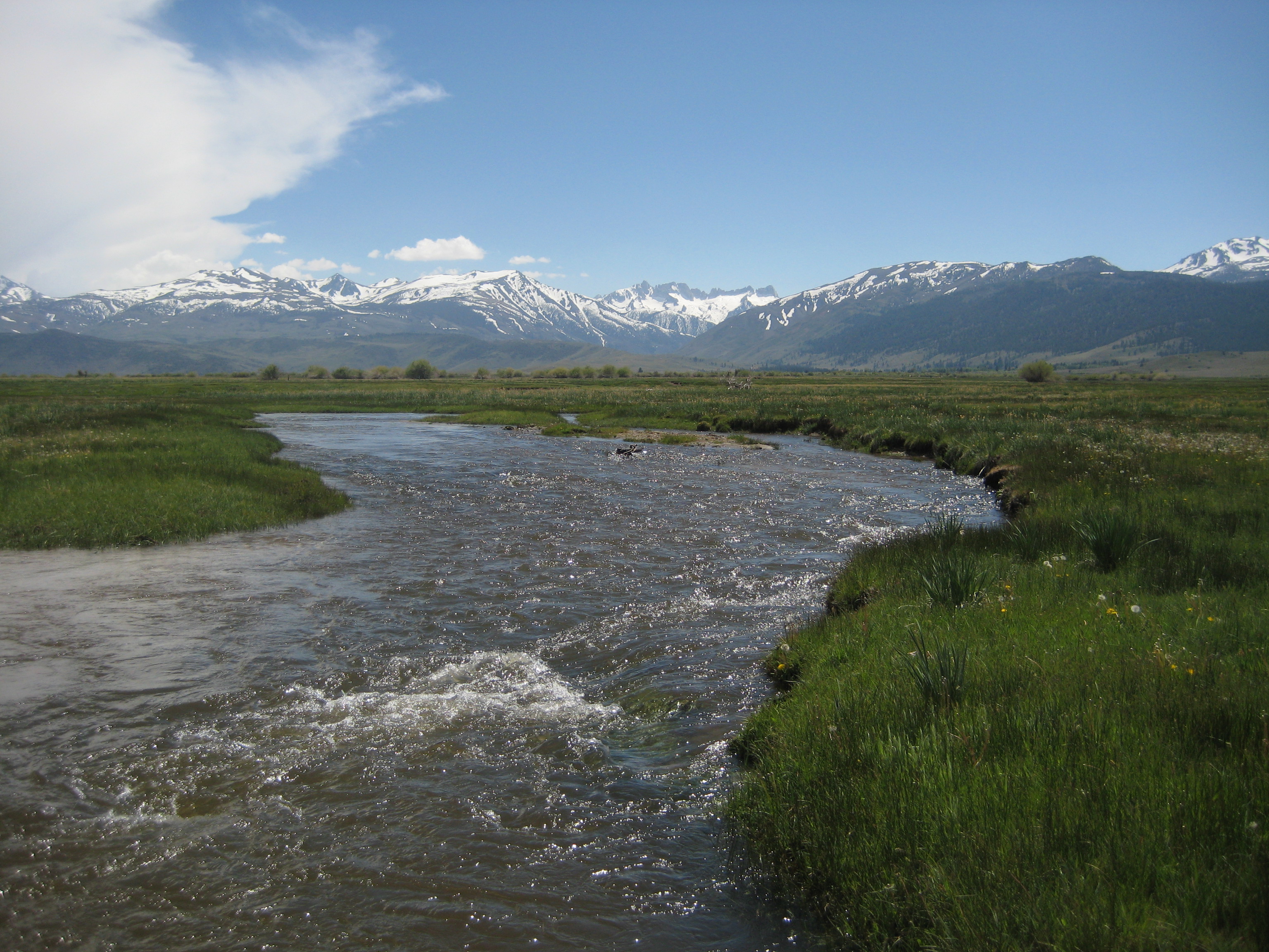 Conservation projects in the works: Bridgeport Valley.