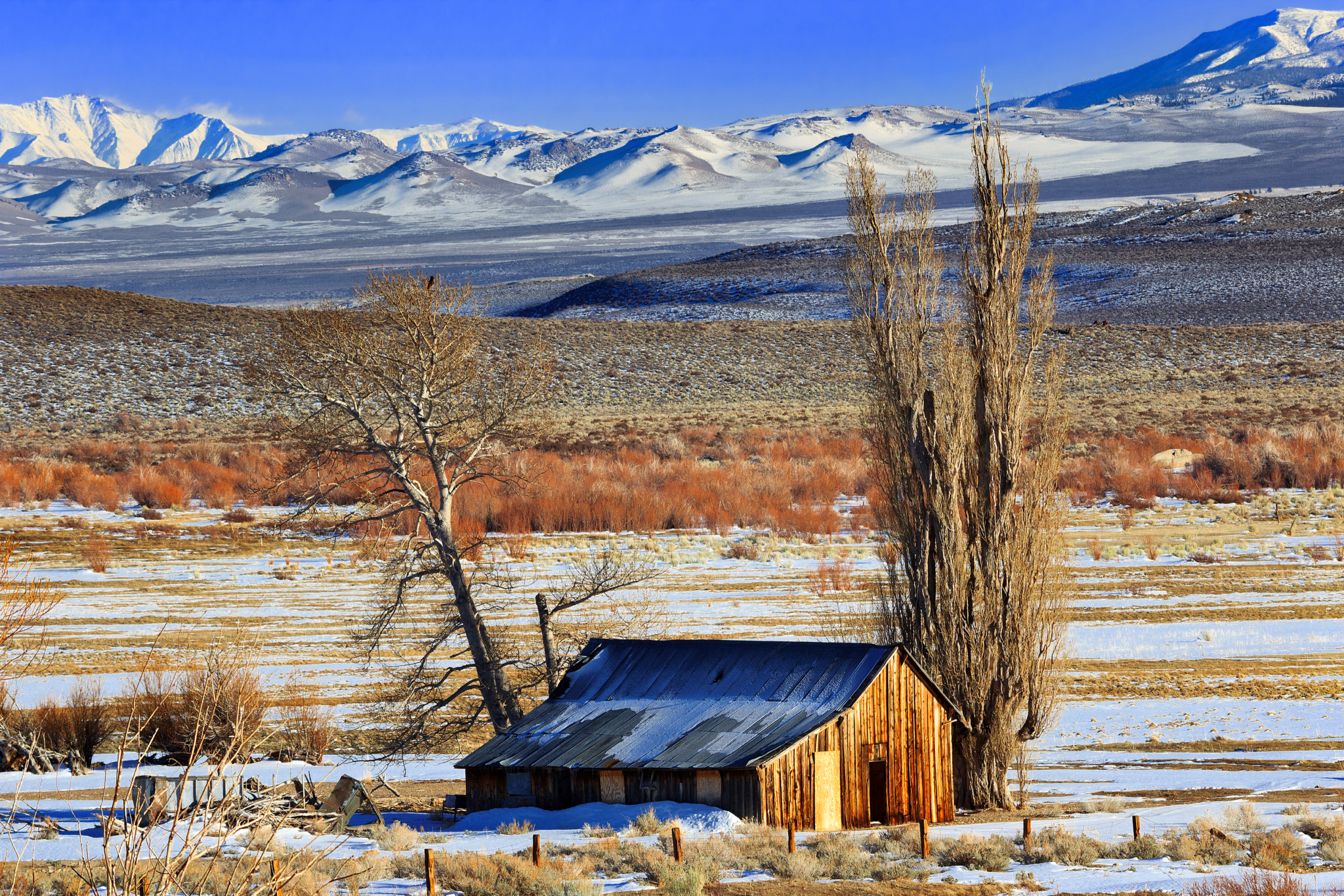Thanks to two years of cooperative efforts between Mono County, Eastern Sierra Land Trust, and funding partners, the historic Conway Ranch property is now protected forever. Photo © Kathleen Bishop.