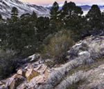 Crowley Hilltop Preserve