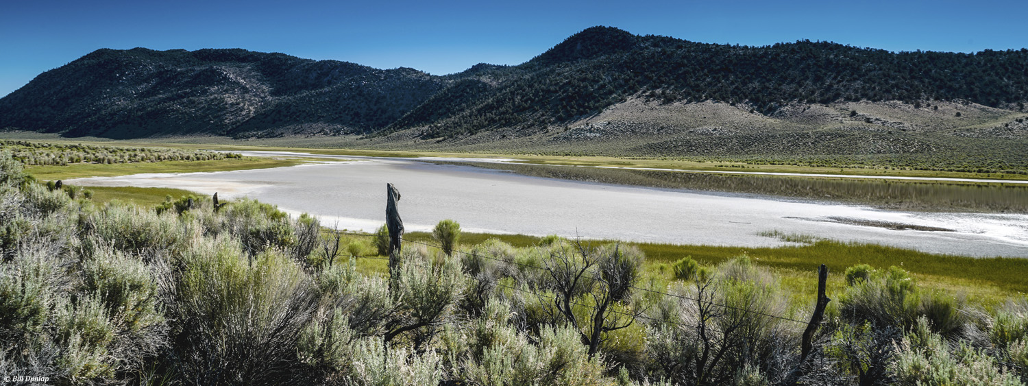 Black Lake Preserve in the Eastern Sierra (photo by Bill Dunlap)