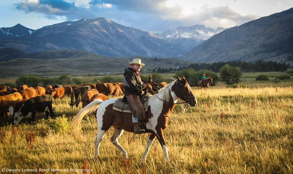 Horseback rider at Hunewill Ranch
