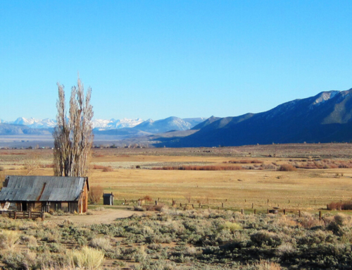 Conway and Mattly Ranches Conservation Easement