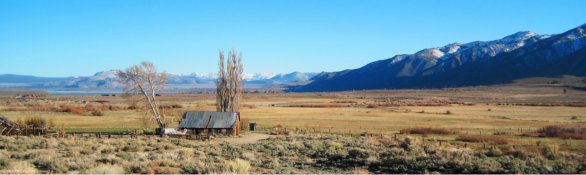Image of Conway Ranch - land that was protected using a conservation easement