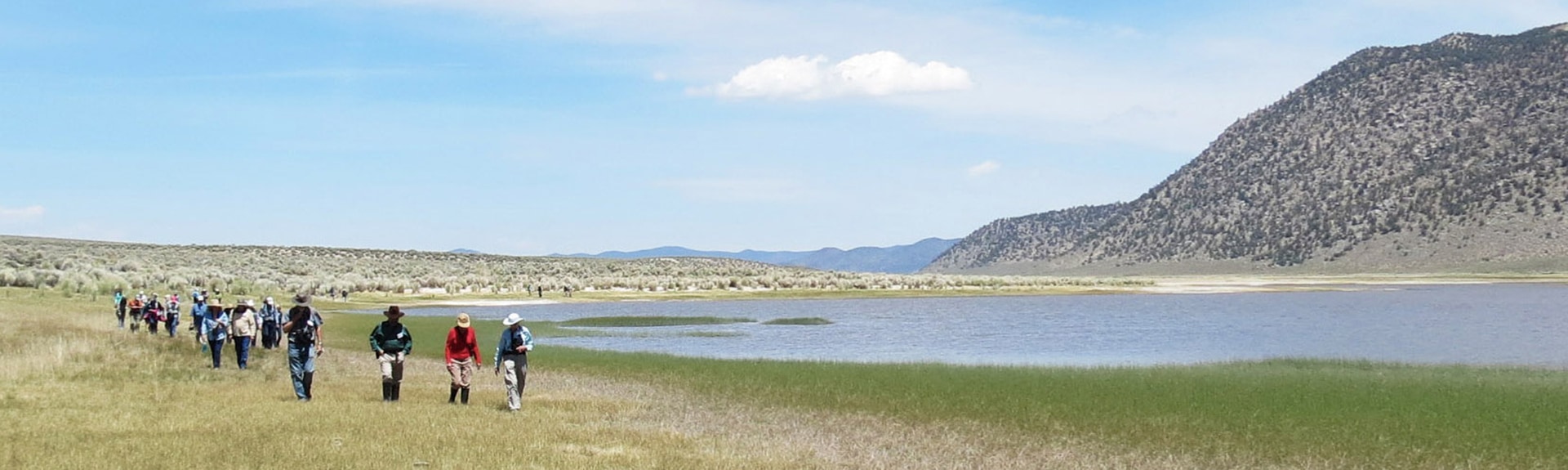 Visit protected lands like Black Lake Preserve.