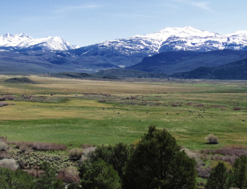 Sceirine Point Ranch Conservation Easement