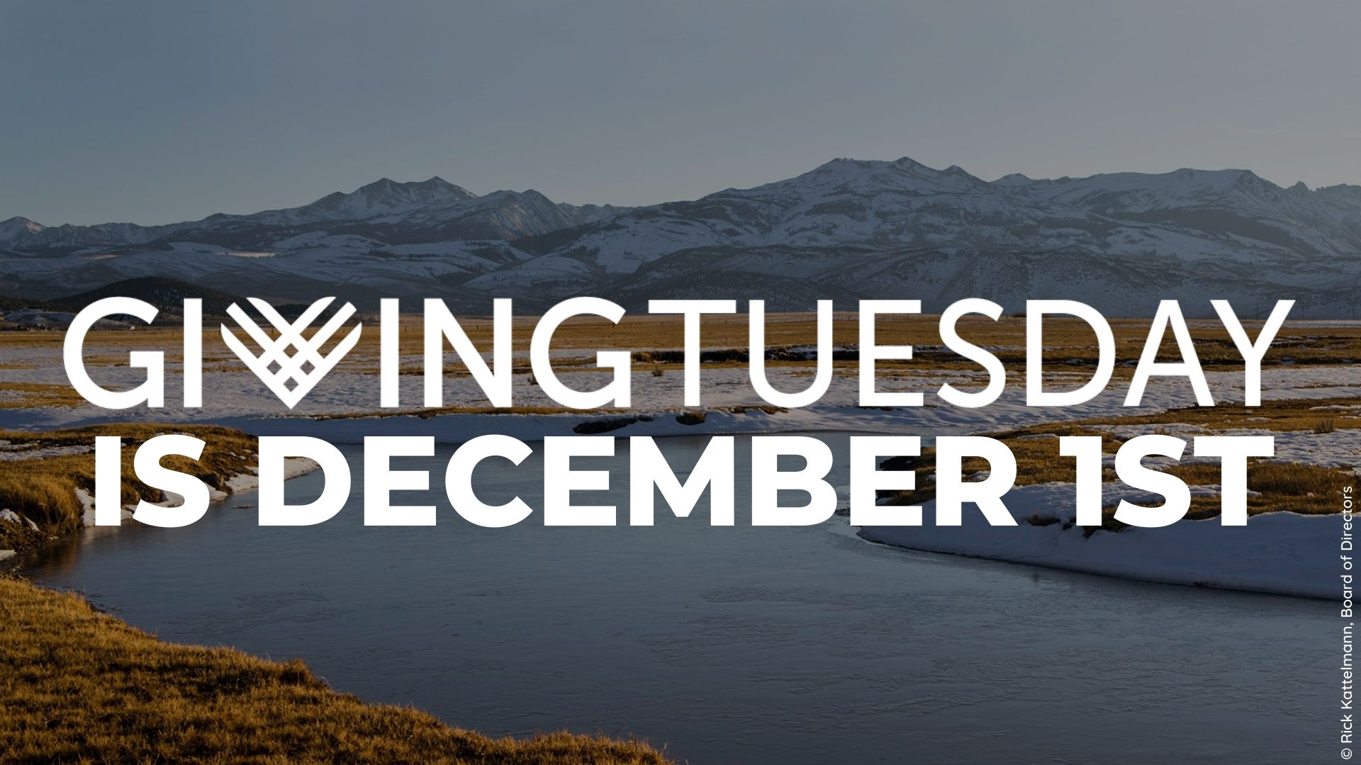 Giving Tuesday is December 1st