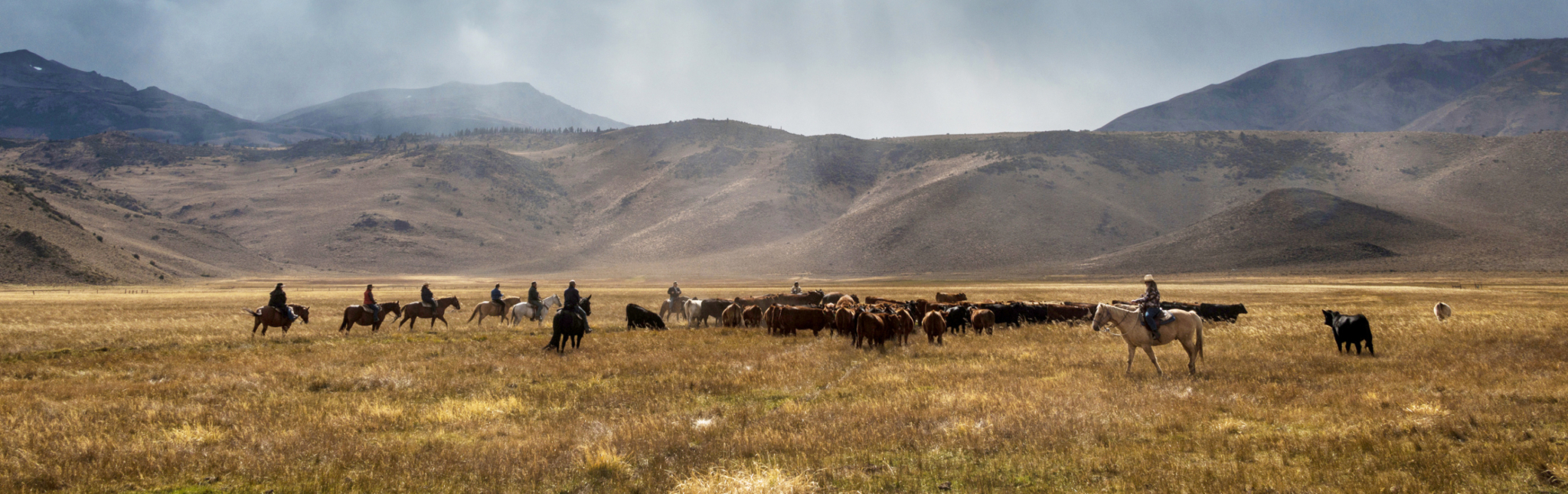 hunewill ranch with cowboys and cattle
