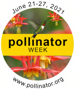 Pollinator-Week-Logo-2021
