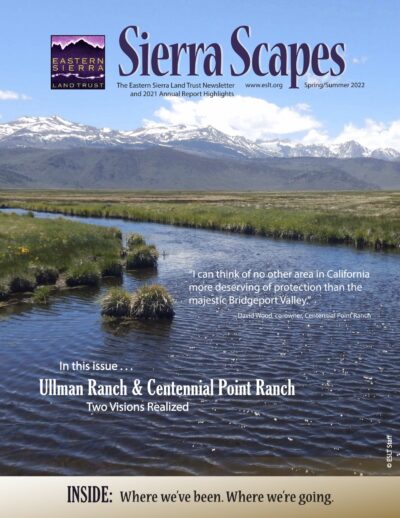 Cover page to the 2022 Spring/Summer edition of SierraScapes.