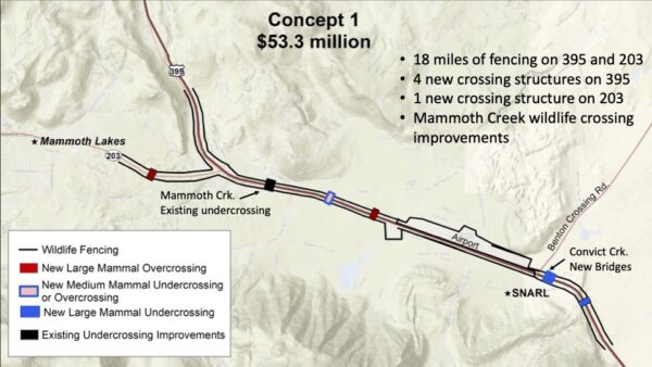 A concept map of the Mammoth Lakes 395 Wildlife Crossing 