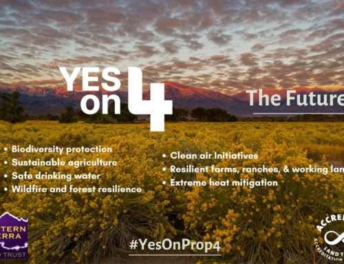 Prop 4