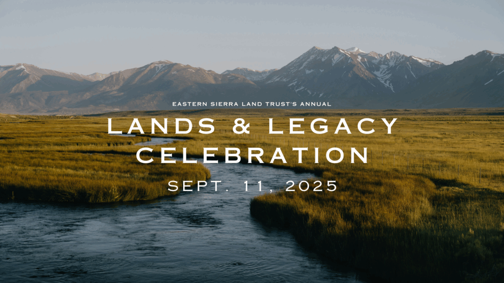 Eastern Sierra Land Trust's Annual Lands & Legacy Celebration