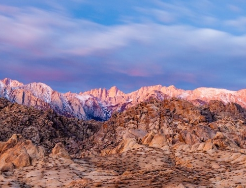 Eastern Sierra Land Trust awarded a 2025 grant to advance strategic land protection