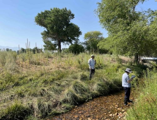 Local ranchers and farmers can restore grasslands to “carbon superhero” status